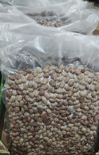 BOBIK - parzona, gotowa zanęta 2 kg