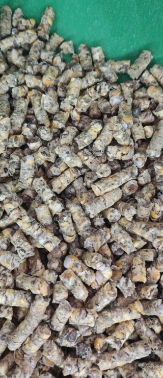 Pellet soja - groch - łubin z mączką rybną 1kg, 6 mm