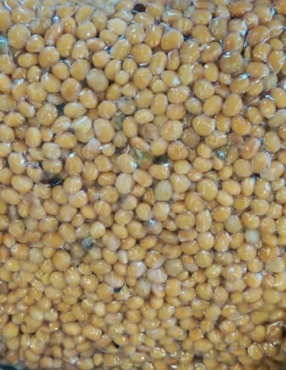 ŁUBIN SŁODKI - parzona, gotowa zanęta 2 kg