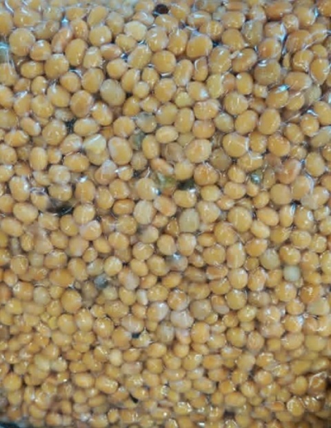 ŁUBIN SŁODKI - parzona, gotowa zanęta 2 kg